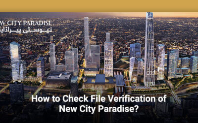 How to Check File Verification of New City Paradise?